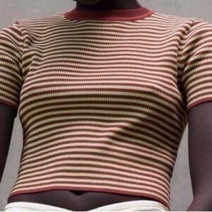 Zara Maroon and Cream Striped Knit Top